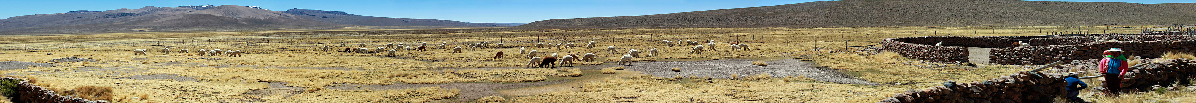 [Group-5]- MG 8458  MG 8469-12-images 2